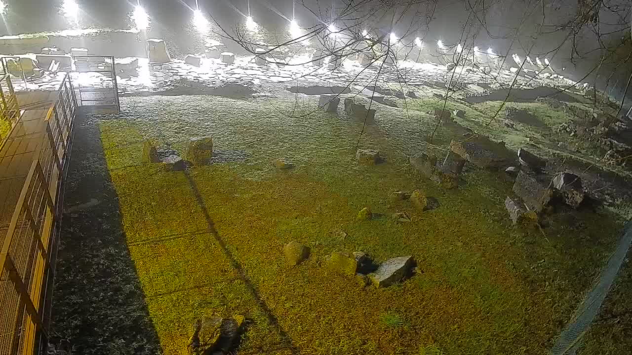 Aquileia – Decumano di Aratria Galla