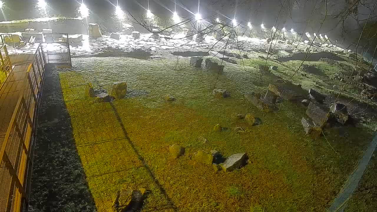 Aquileia – Decumano di Aratria Galla