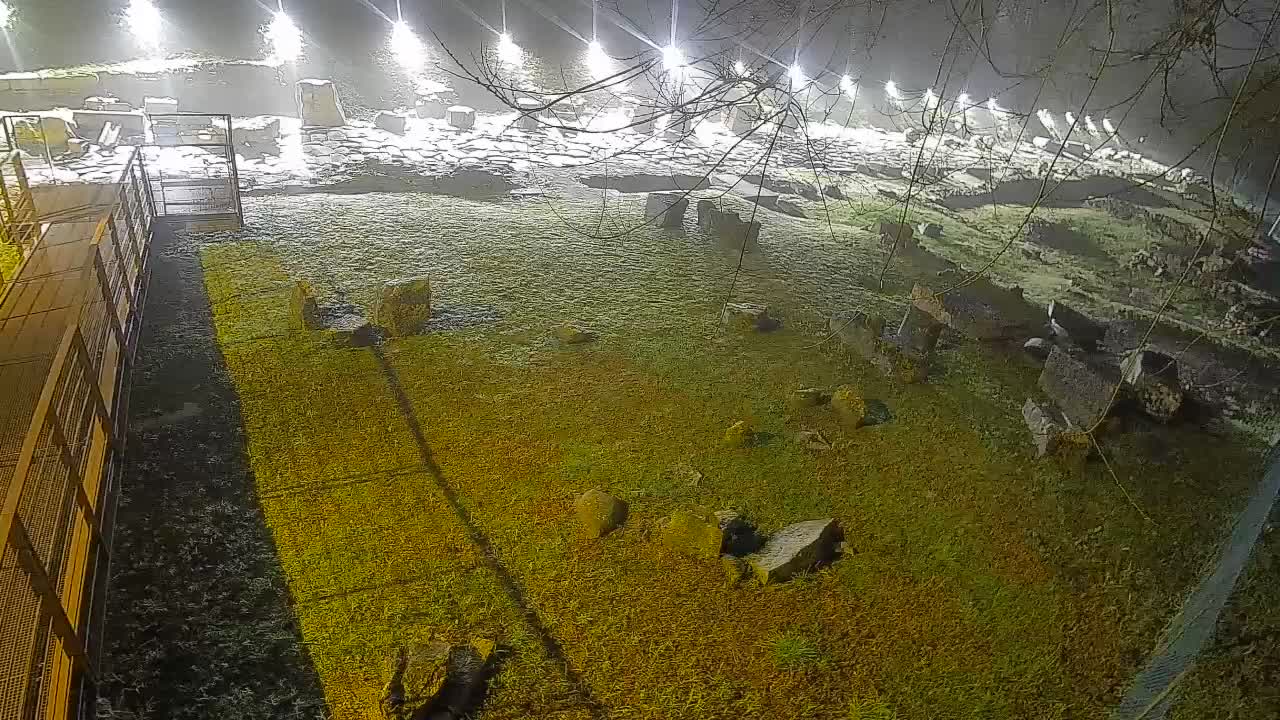 Aquileia – Decumano di Aratria Galla