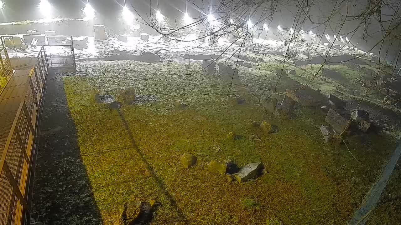 Aquileia – Decumano di Aratria Galla