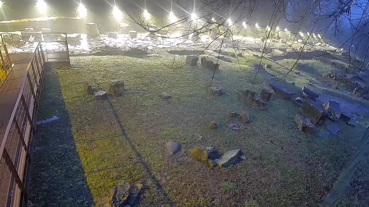 Aquileia – Decumano di Aratria Galla