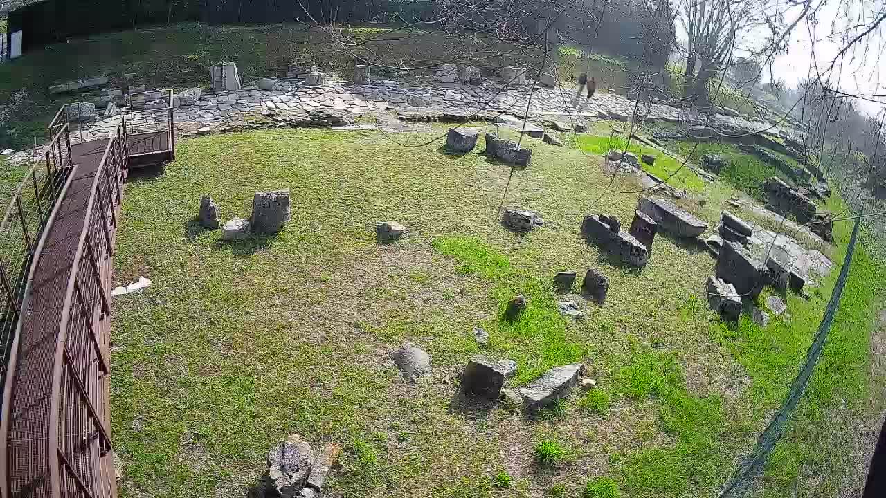 Aquileia – Decumano di Aratria Galla