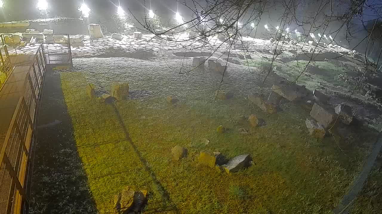 Oglej – Decumano Aratria Galla