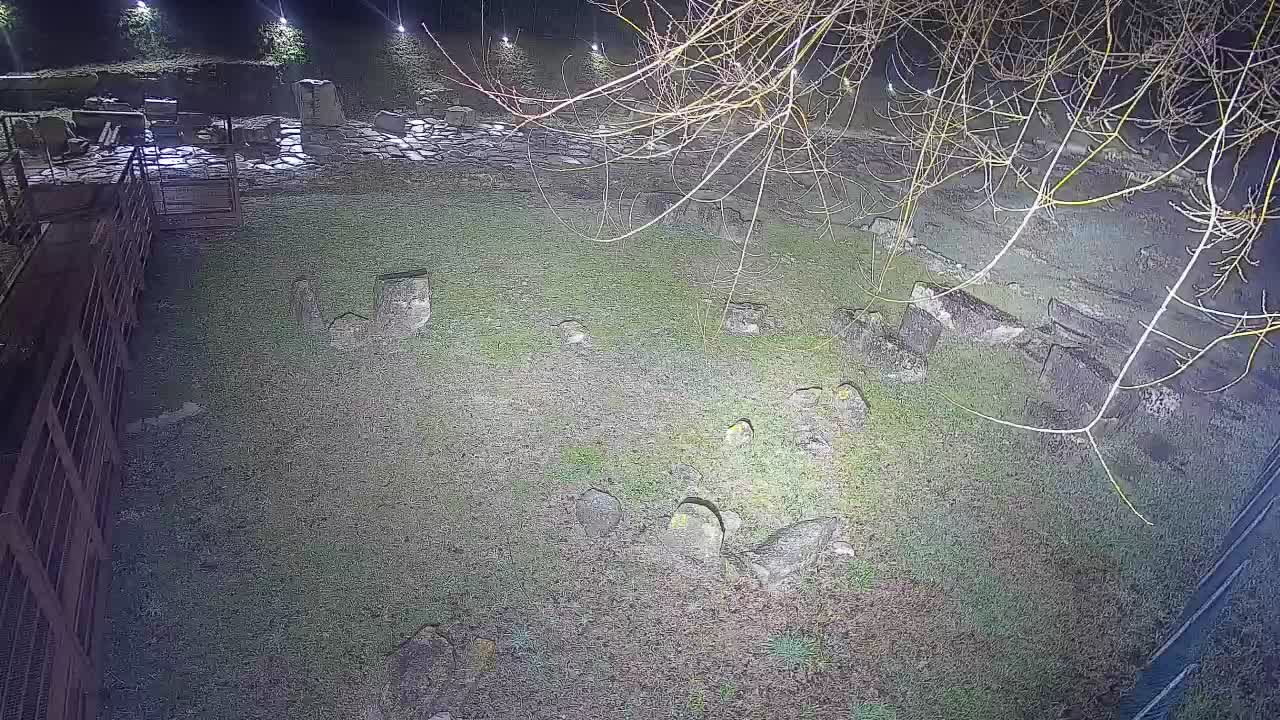 Akvileja – Decumano di Aratria Galla