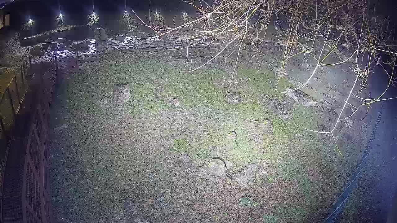 Aquileia – Decumano di Aratria Galla