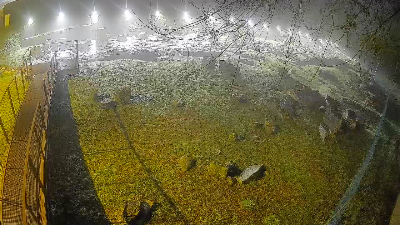 Aquileia – Decumano di Aratria Galla