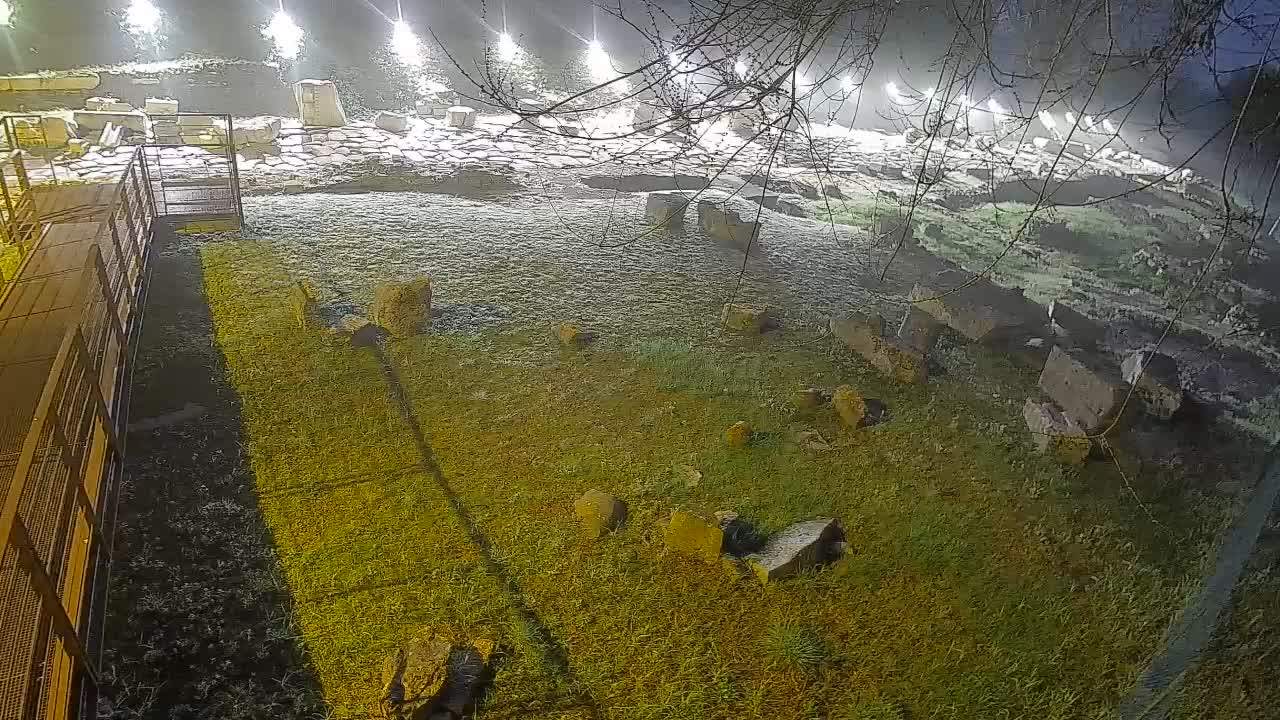 Aquileia – Decumano di Aratria Galla