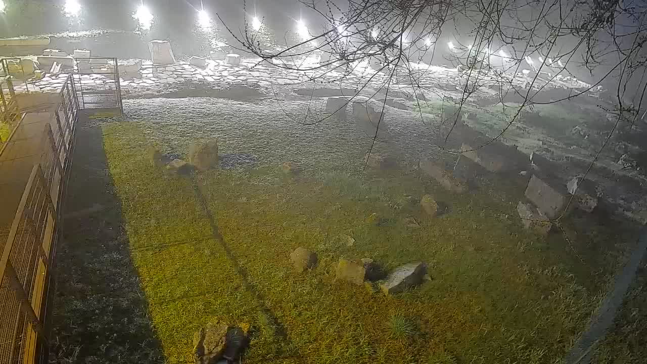 Aquileia – Decumano di Aratria Galla