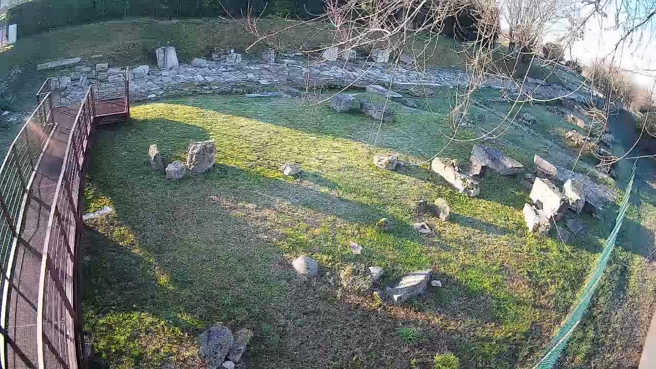 Aquileia – Decumano di Aratria Galla