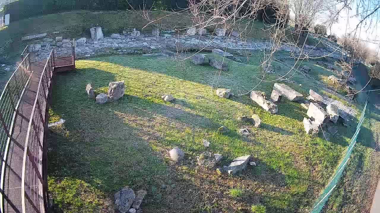 Akvileja – Decumano di Aratria Galla