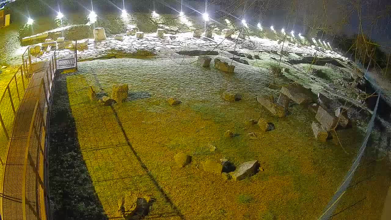 Aquileia – Decumano di Aratria Galla