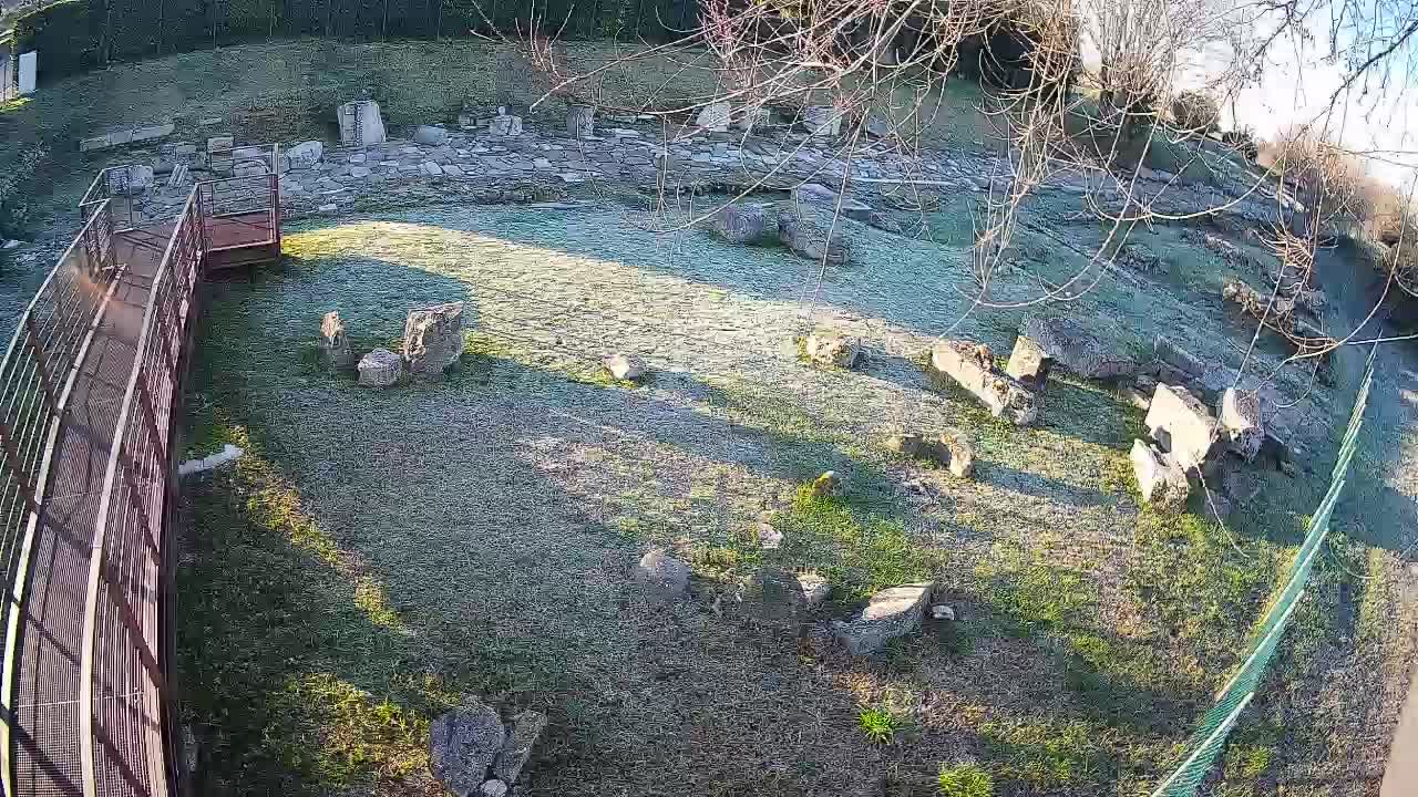 Aquileia – Decumano di Aratria Galla