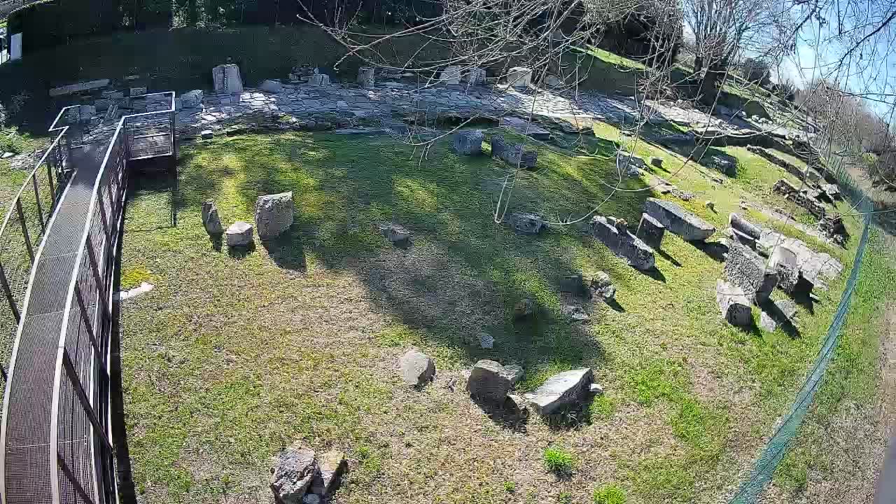 Aquileia – Decumano di Aratria Galla