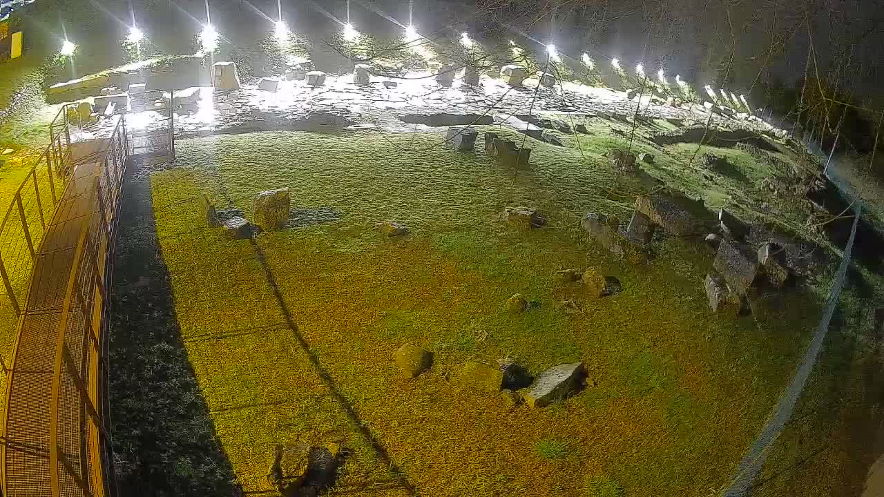 Akvileja – Decumano di Aratria Galla