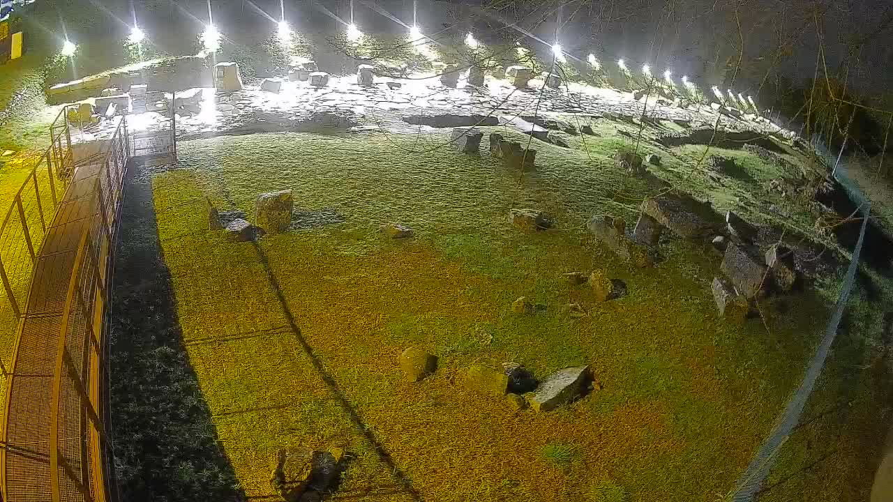 Akvileja – Decumano di Aratria Galla