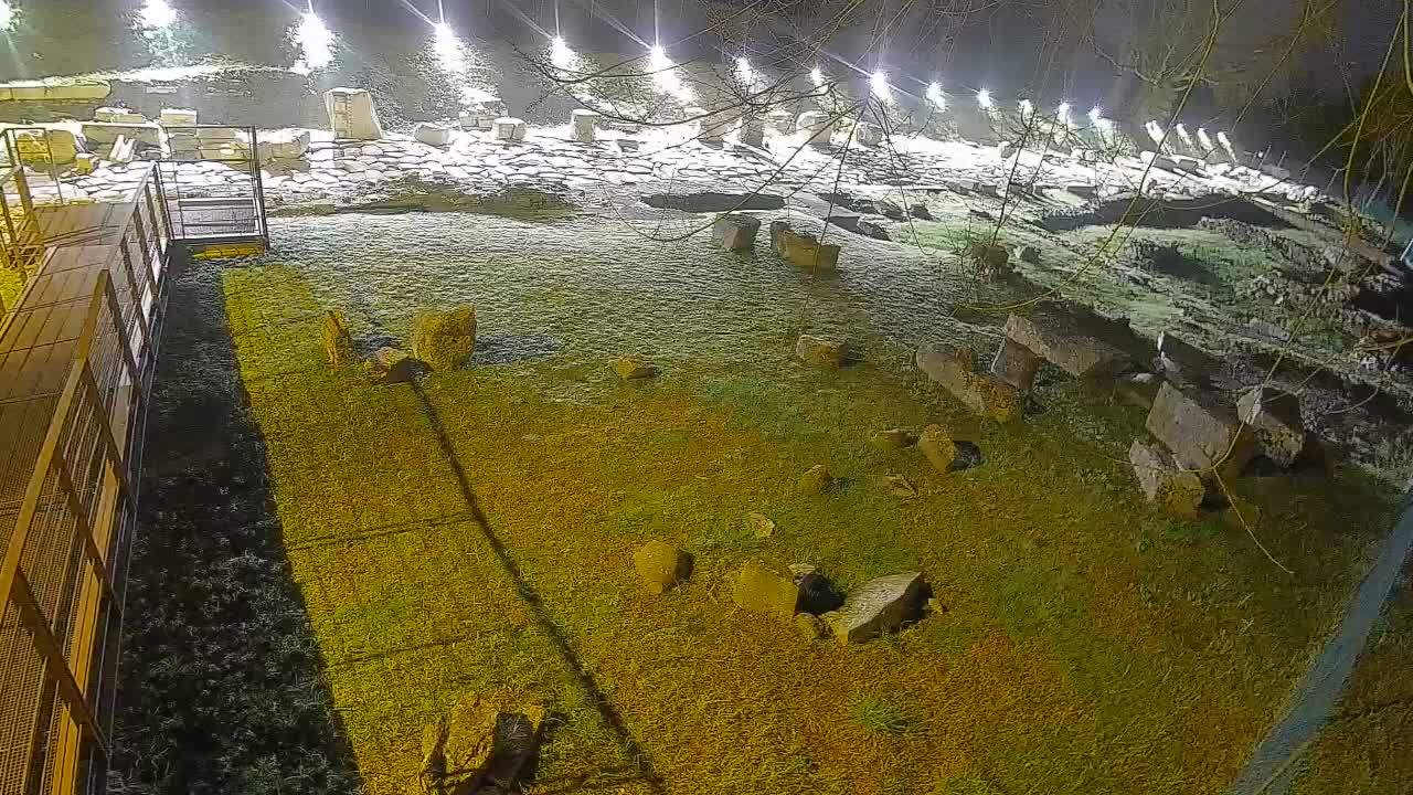 Oglej – Decumano Aratria Galla