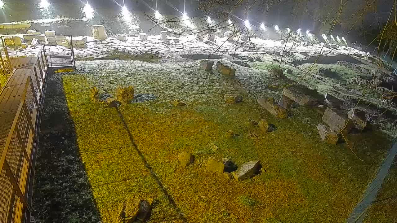 Aquileia – Decumano di Aratria Galla