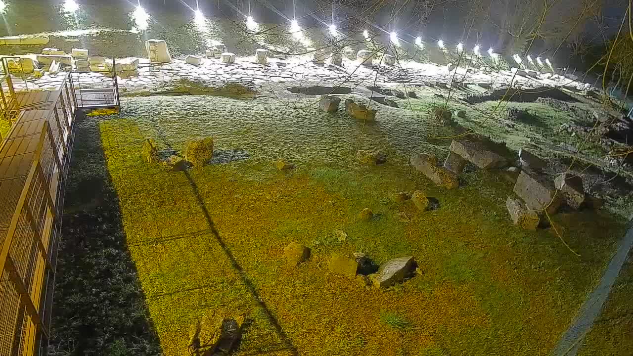 Aquileia – Decumano di Aratria Galla