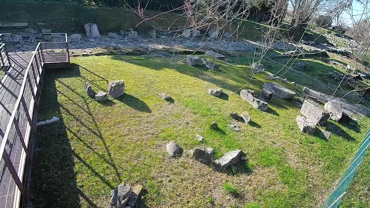 Aquileia – Decumano di Aratria Galla