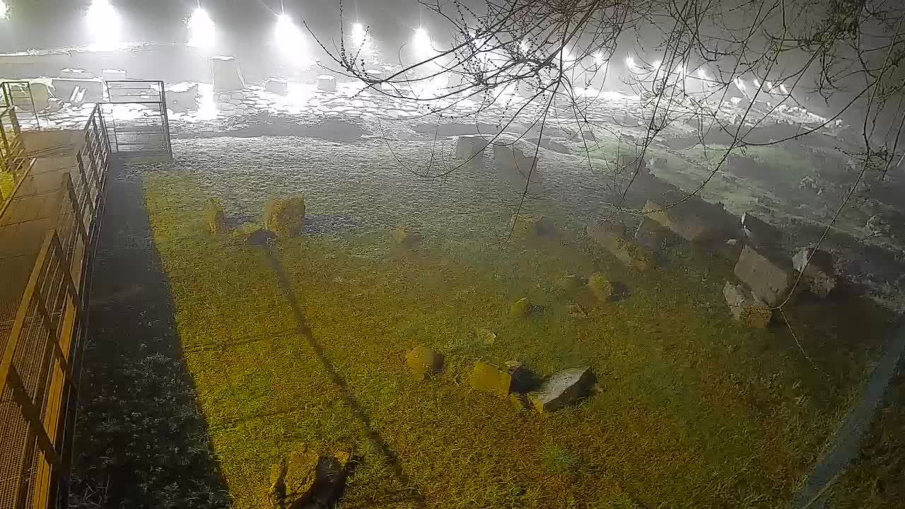 Aquileia – Decumano di Aratria Galla