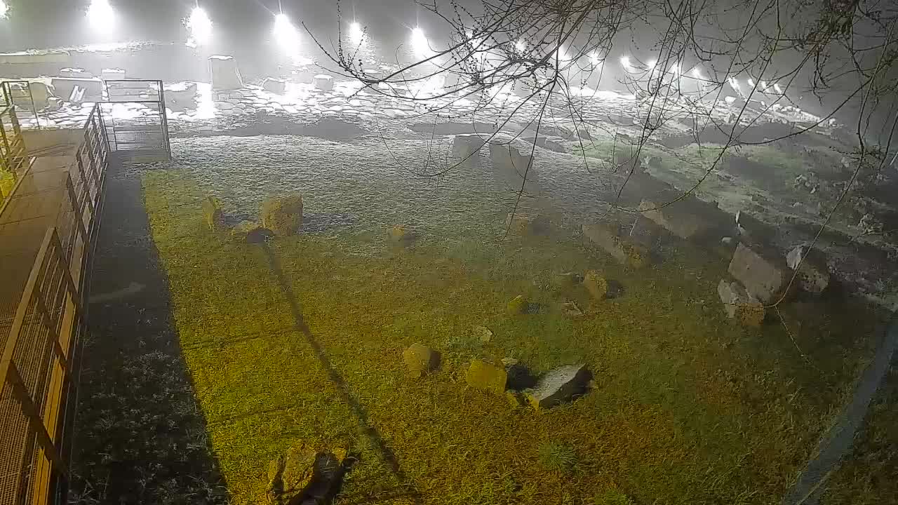 Aquileia – Decumano di Aratria Galla