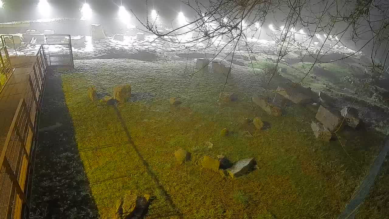 Aquileia – Decumano di Aratria Galla