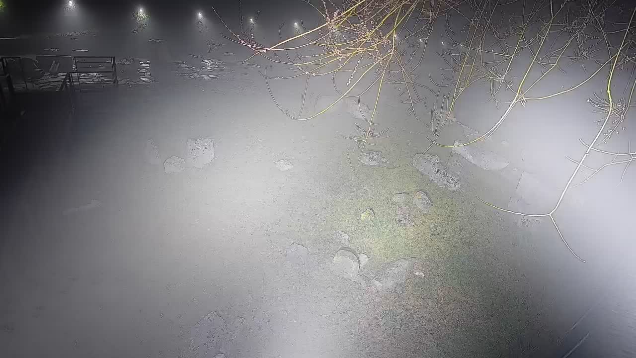 Aquileia – Decumano di Aratria Galla