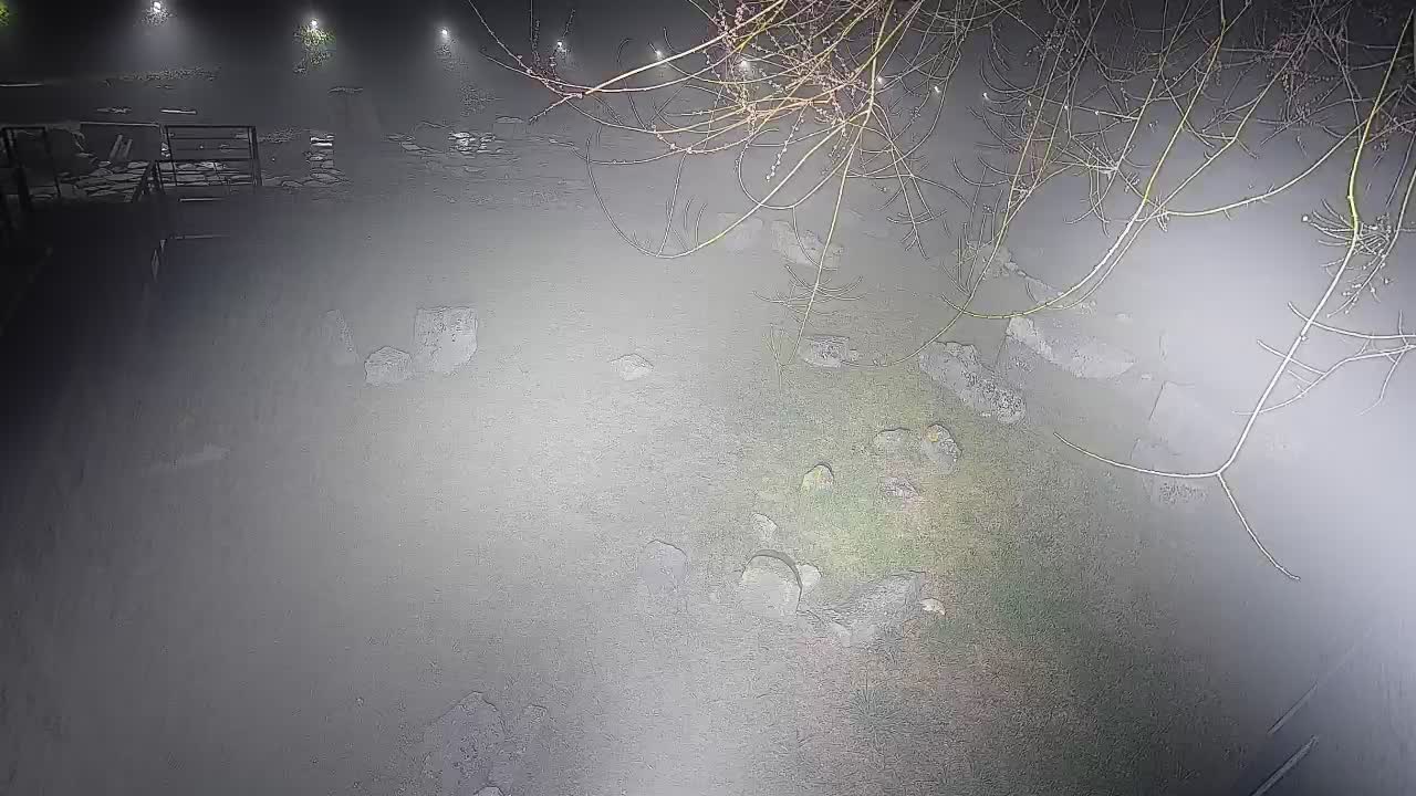 Aquileia – Decumano di Aratria Galla