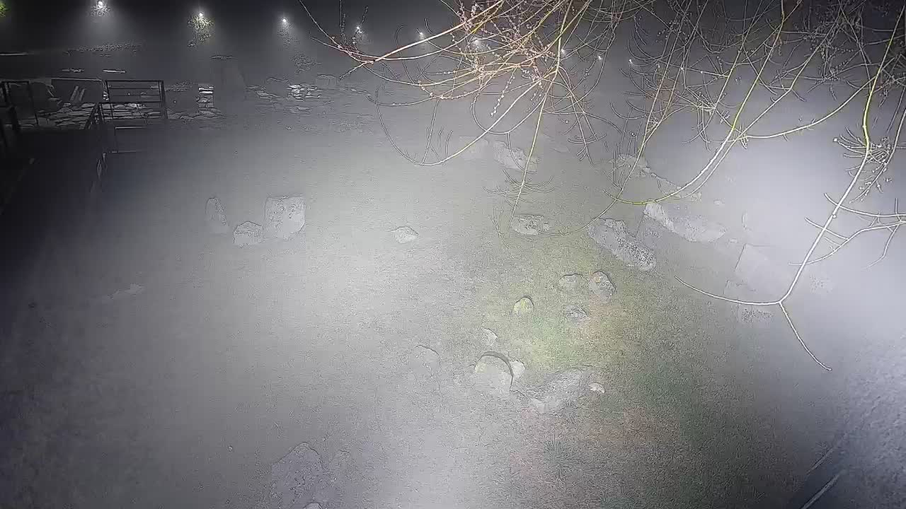 Aquileia – Decumano di Aratria Galla