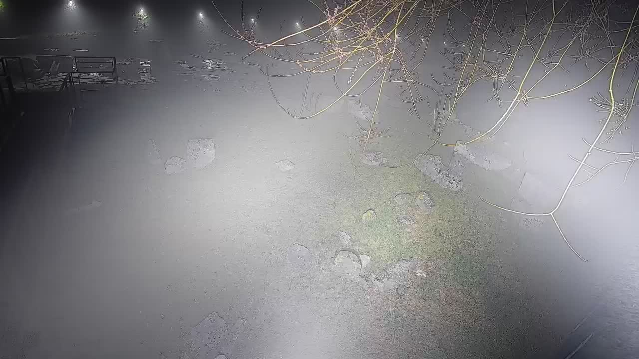 Akvileja – Decumano di Aratria Galla