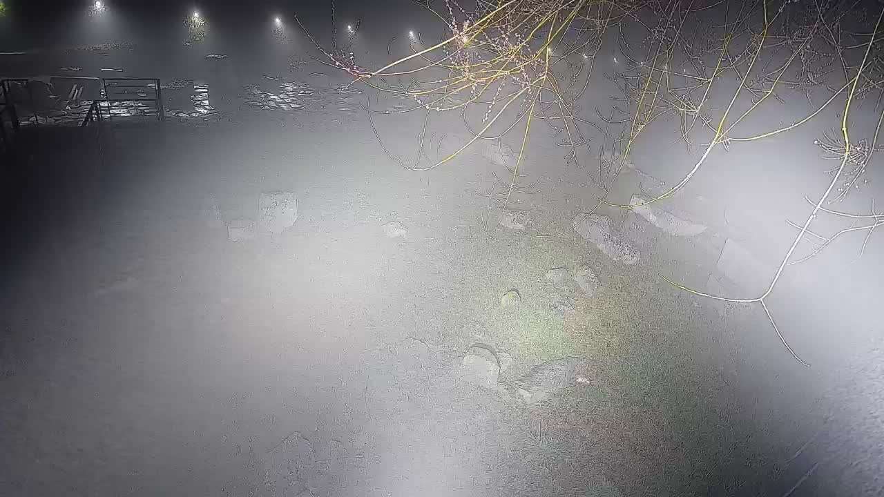 Aquileia – Decumano di Aratria Galla