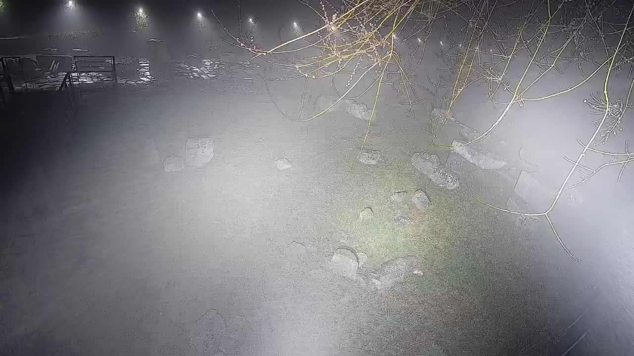 Aquileia – Decumano di Aratria Galla