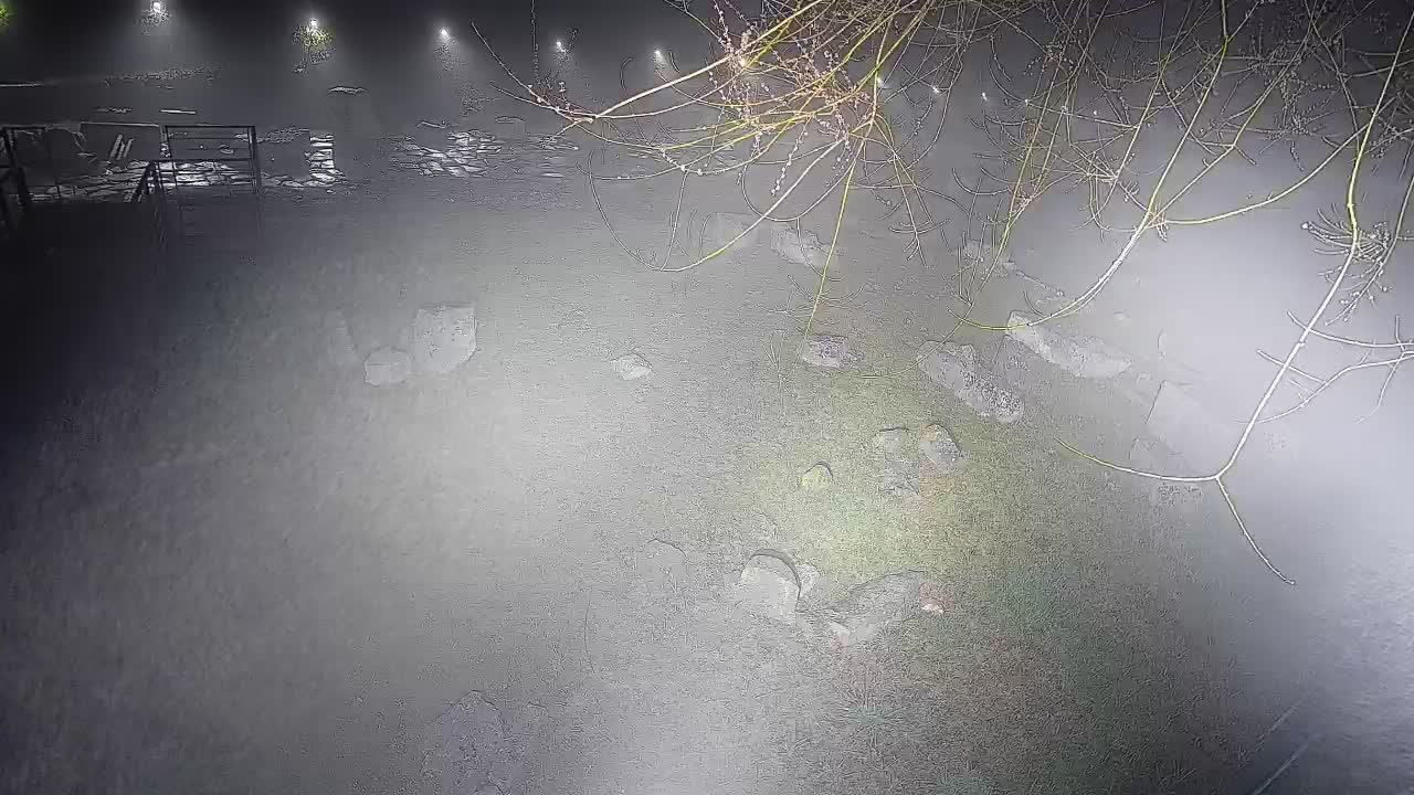 Aquileia – Decumano di Aratria Galla