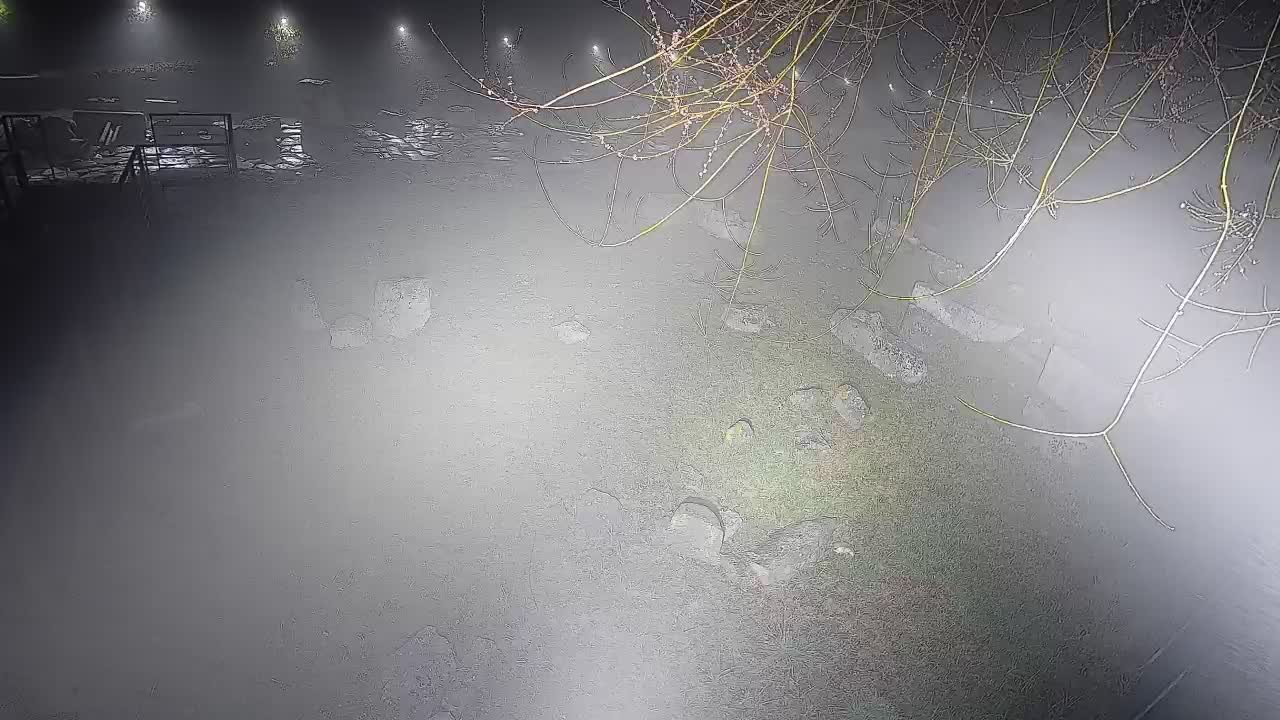 Akvileja – Decumano di Aratria Galla