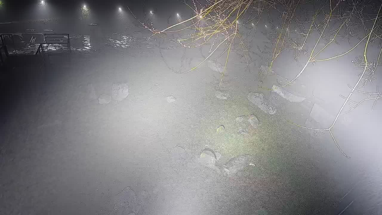 Oglej – Decumano Aratria Galla