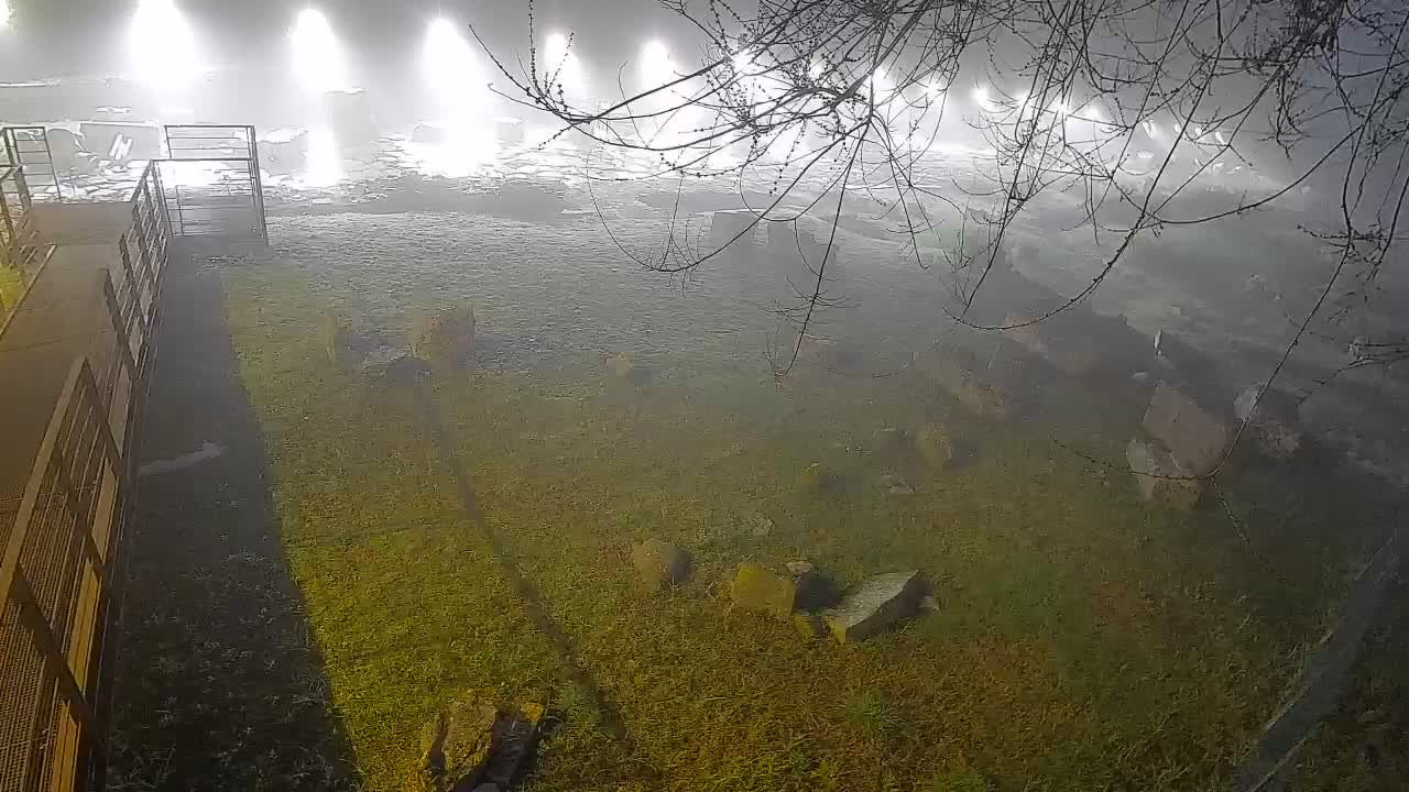 Akvileja – Decumano di Aratria Galla