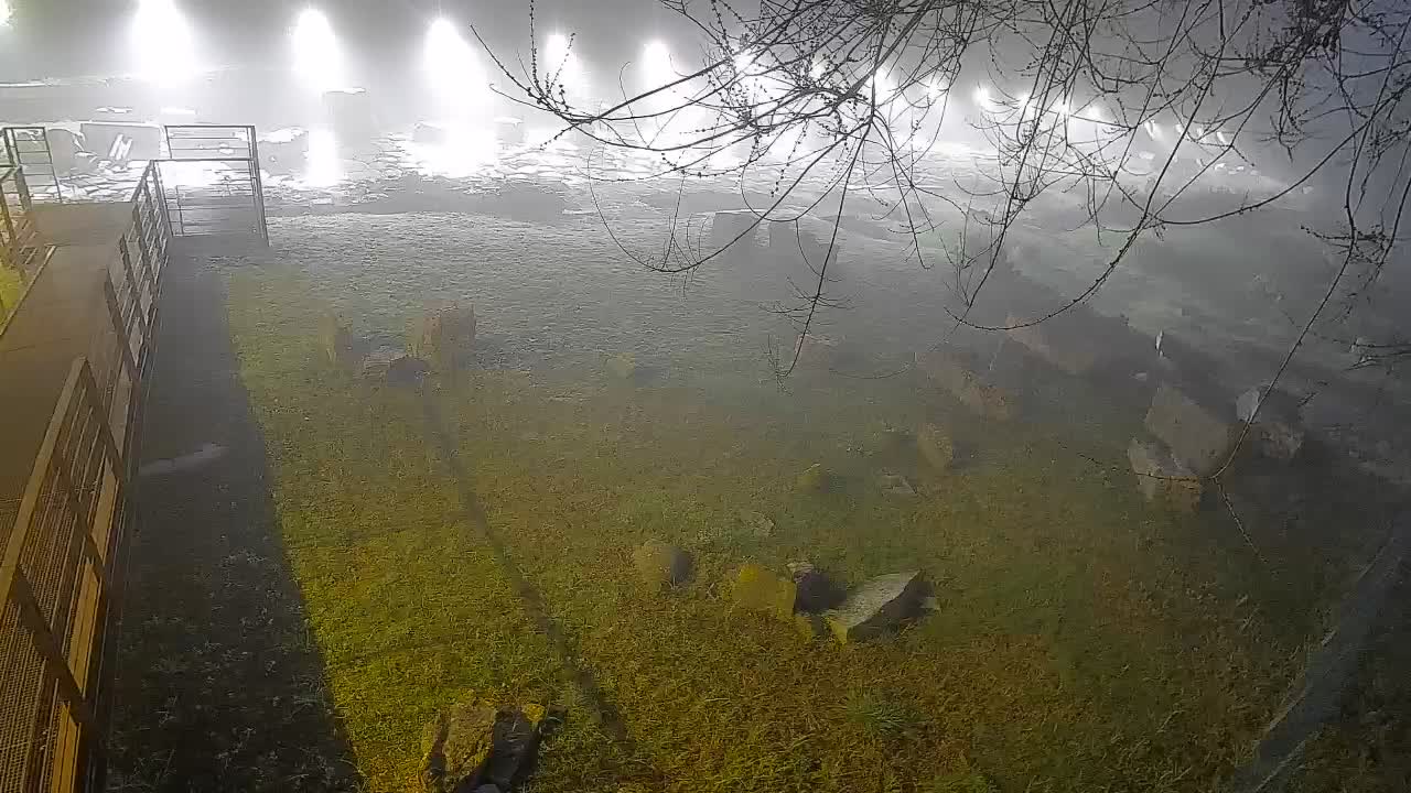 Aquileia – Decumano di Aratria Galla