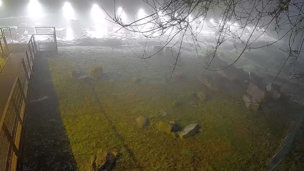 Aquileia – Decumano di Aratria Galla