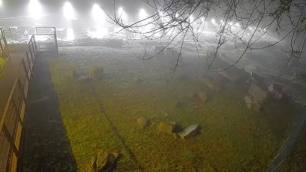 Oglej – Decumano Aratria Galla