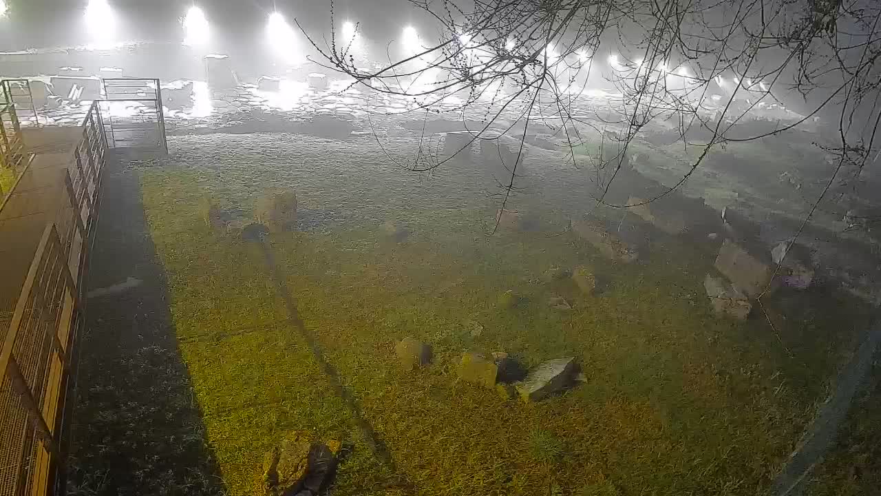 Aquileia – Decumano di Aratria Galla