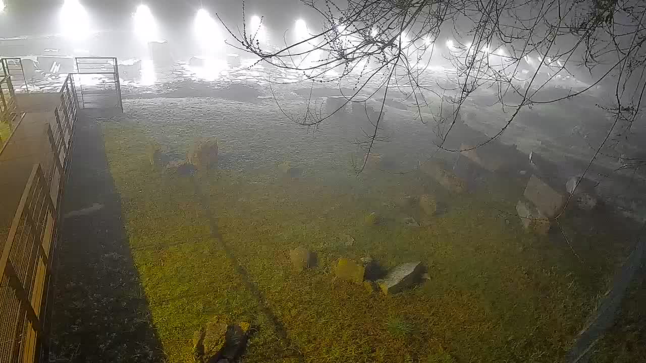 Aquileia – Decumano di Aratria Galla