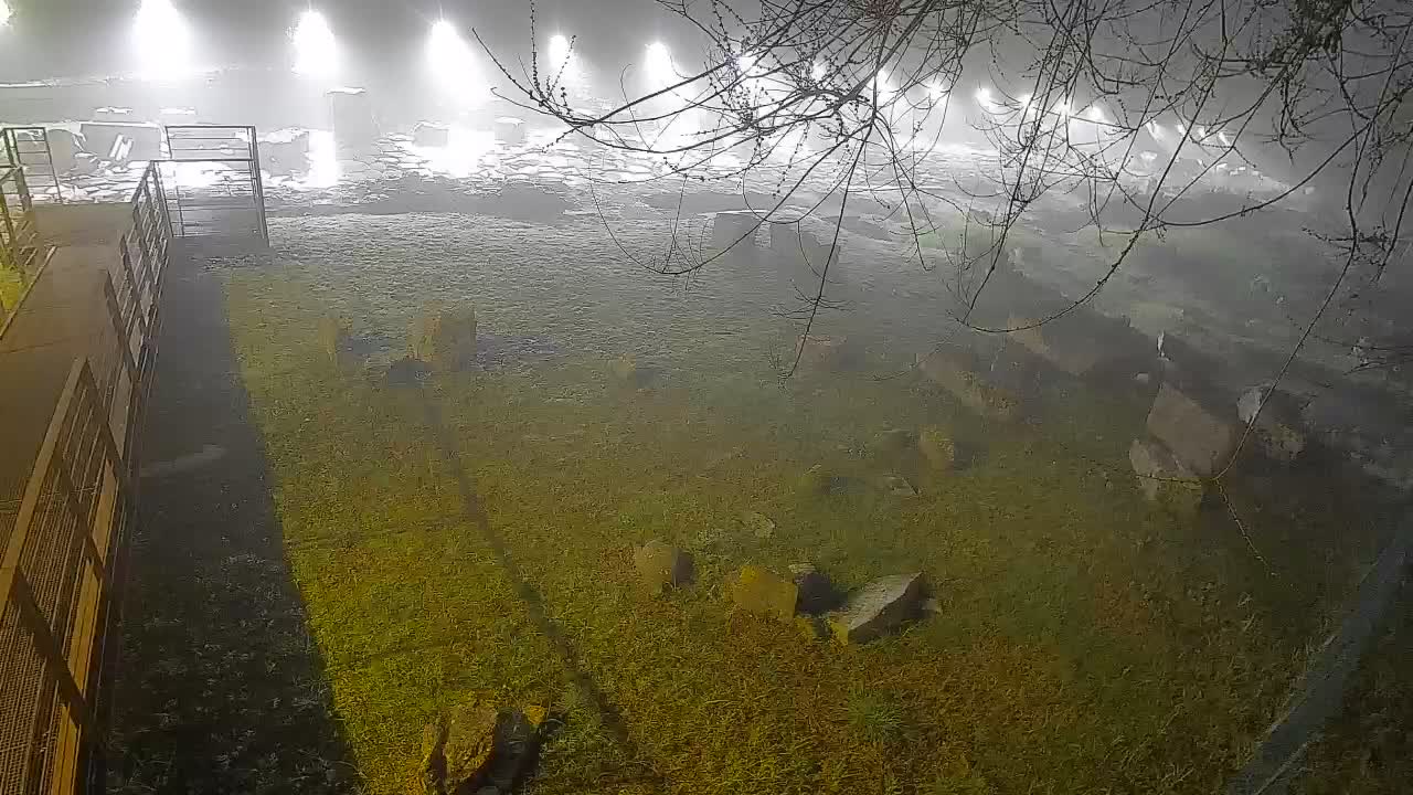 Oglej – Decumano Aratria Galla