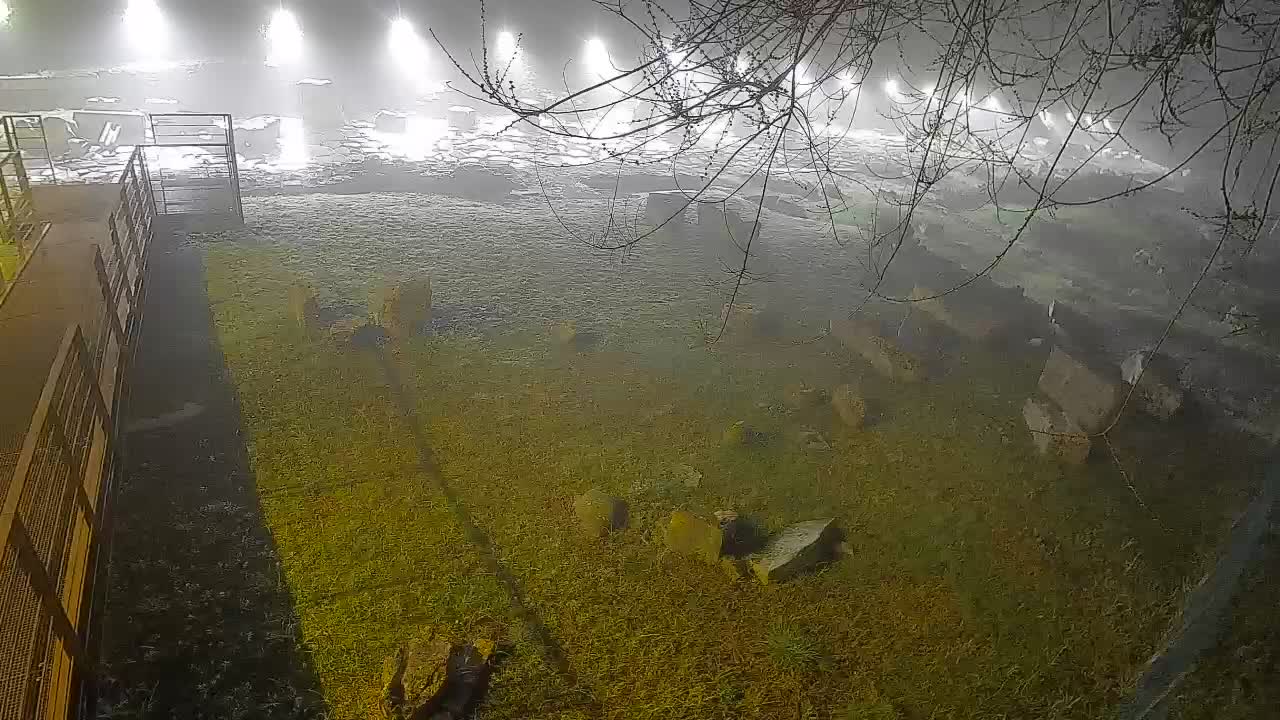 Aquileia – Decumano di Aratria Galla