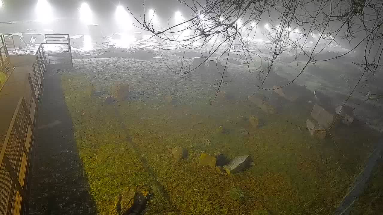 Aquileia – Decumano di Aratria Galla