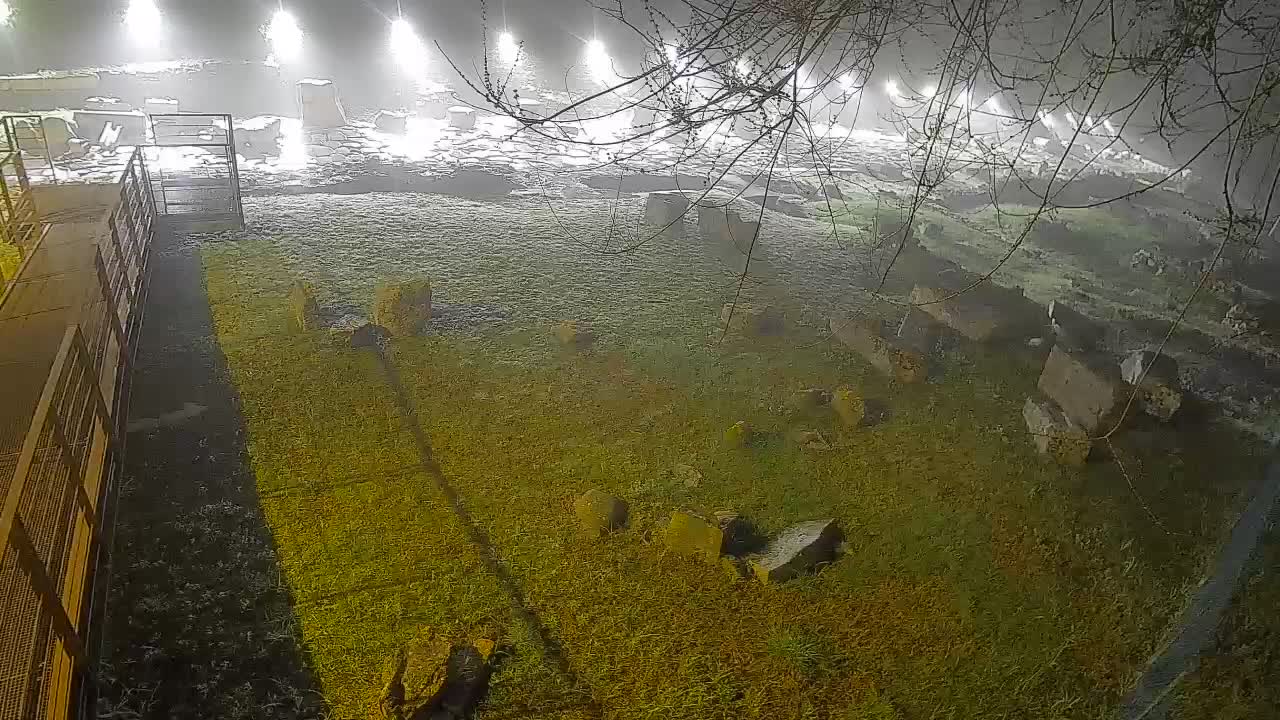 Aquileia – Decumano di Aratria Galla