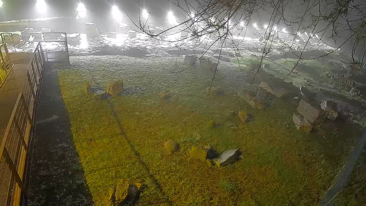 Aquileia – Decumano di Aratria Galla