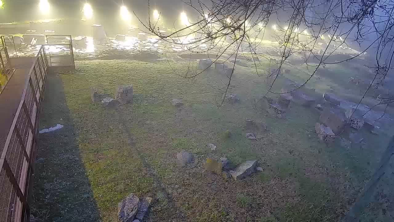 Aquileia – Decumano di Aratria Galla