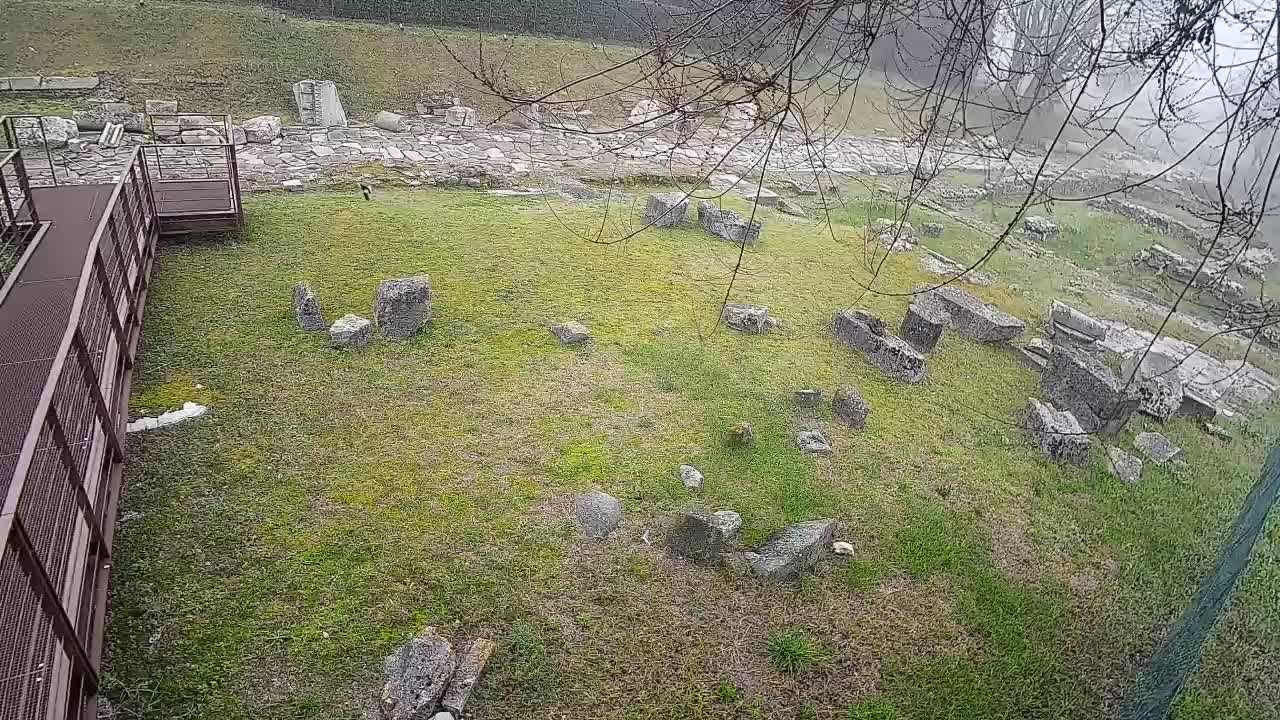 Aquileia – Decumano di Aratria Galla