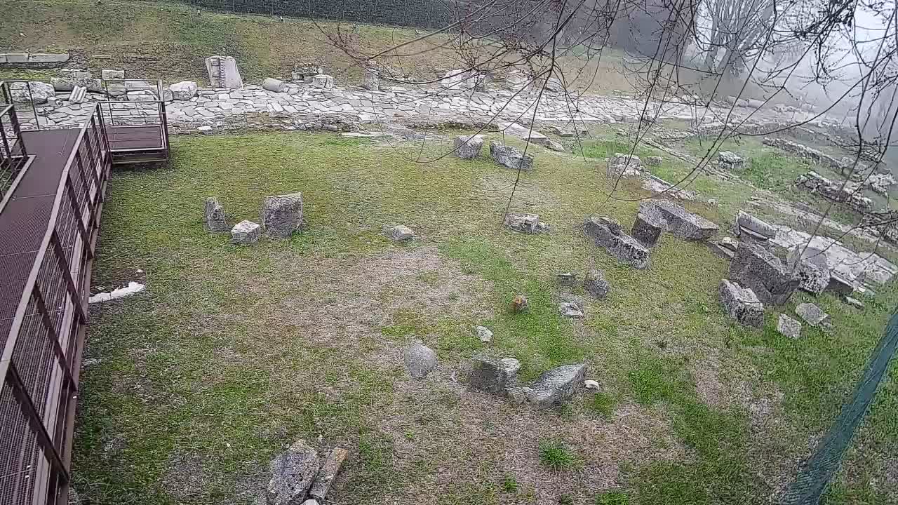 Aquileia – Decumano di Aratria Galla