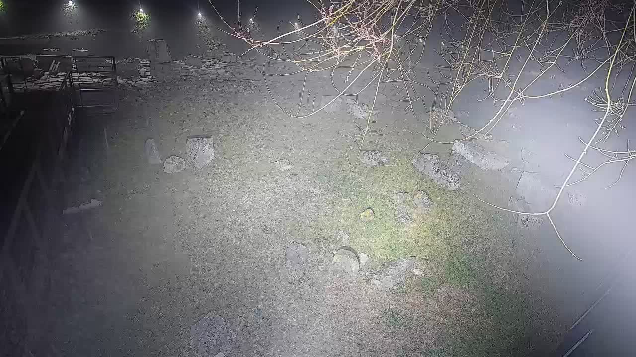 Akvileja – Decumano di Aratria Galla